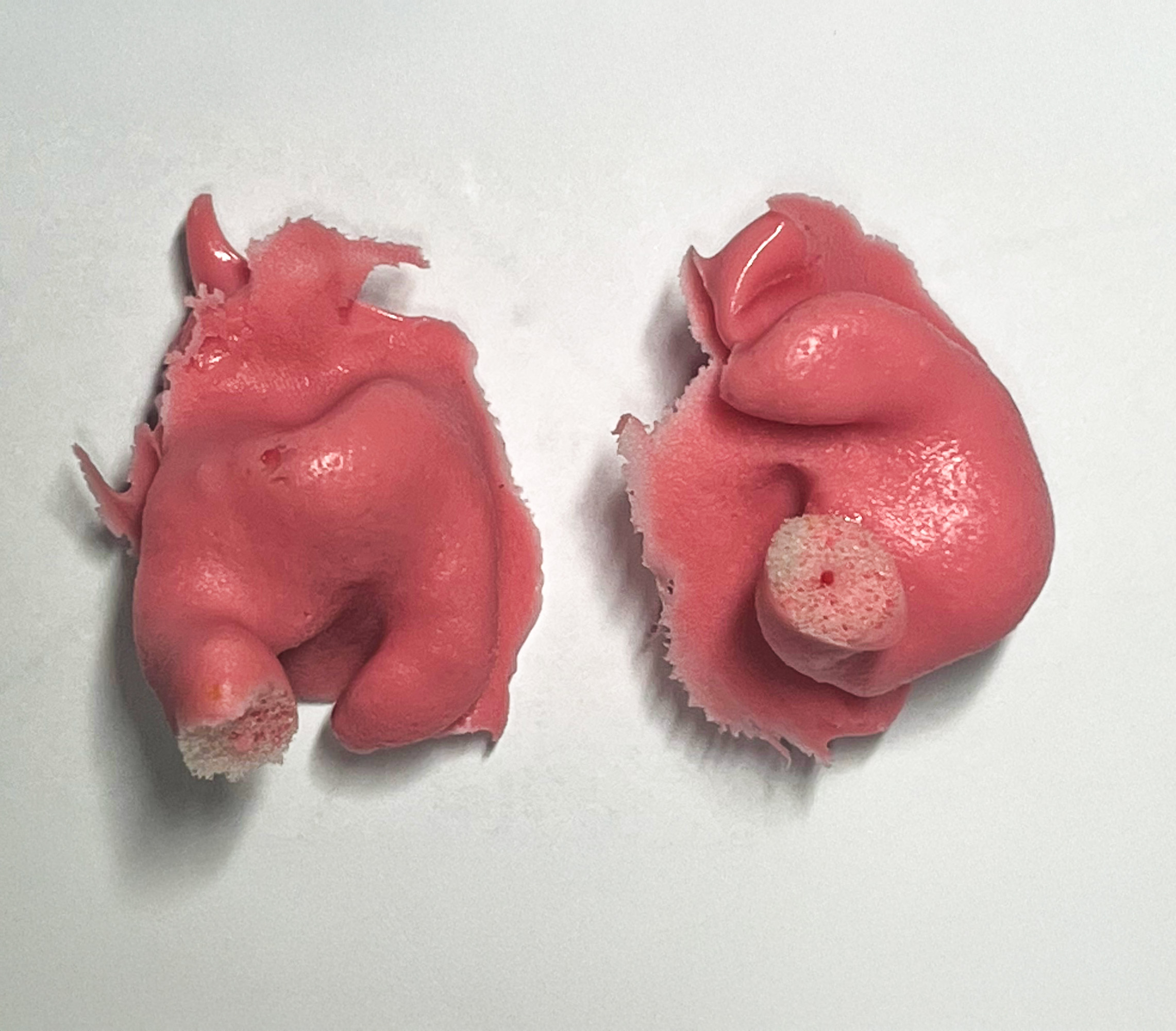 Ear Impressions